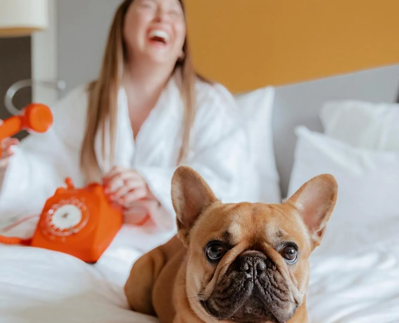 Hotel Pullman Toulouse Airport Blagnac