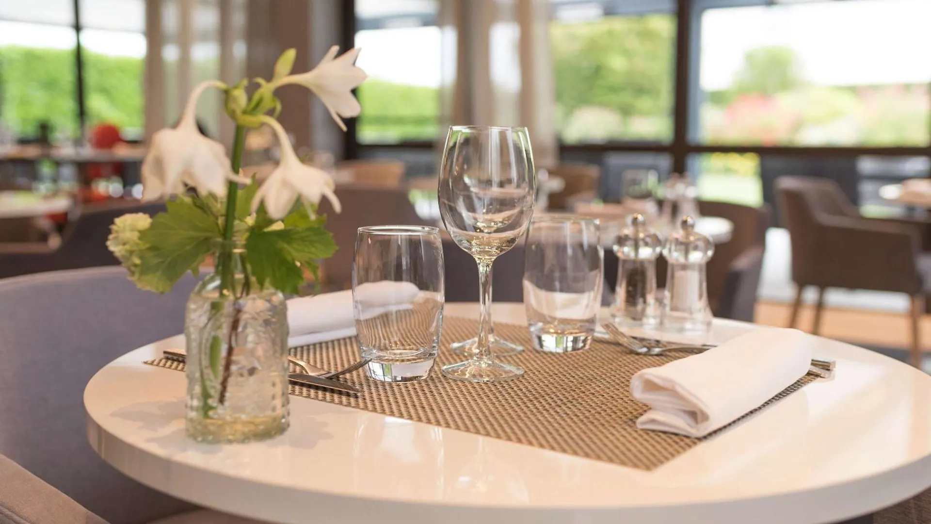Pullman Toulouse Airport Hotel Blagnac